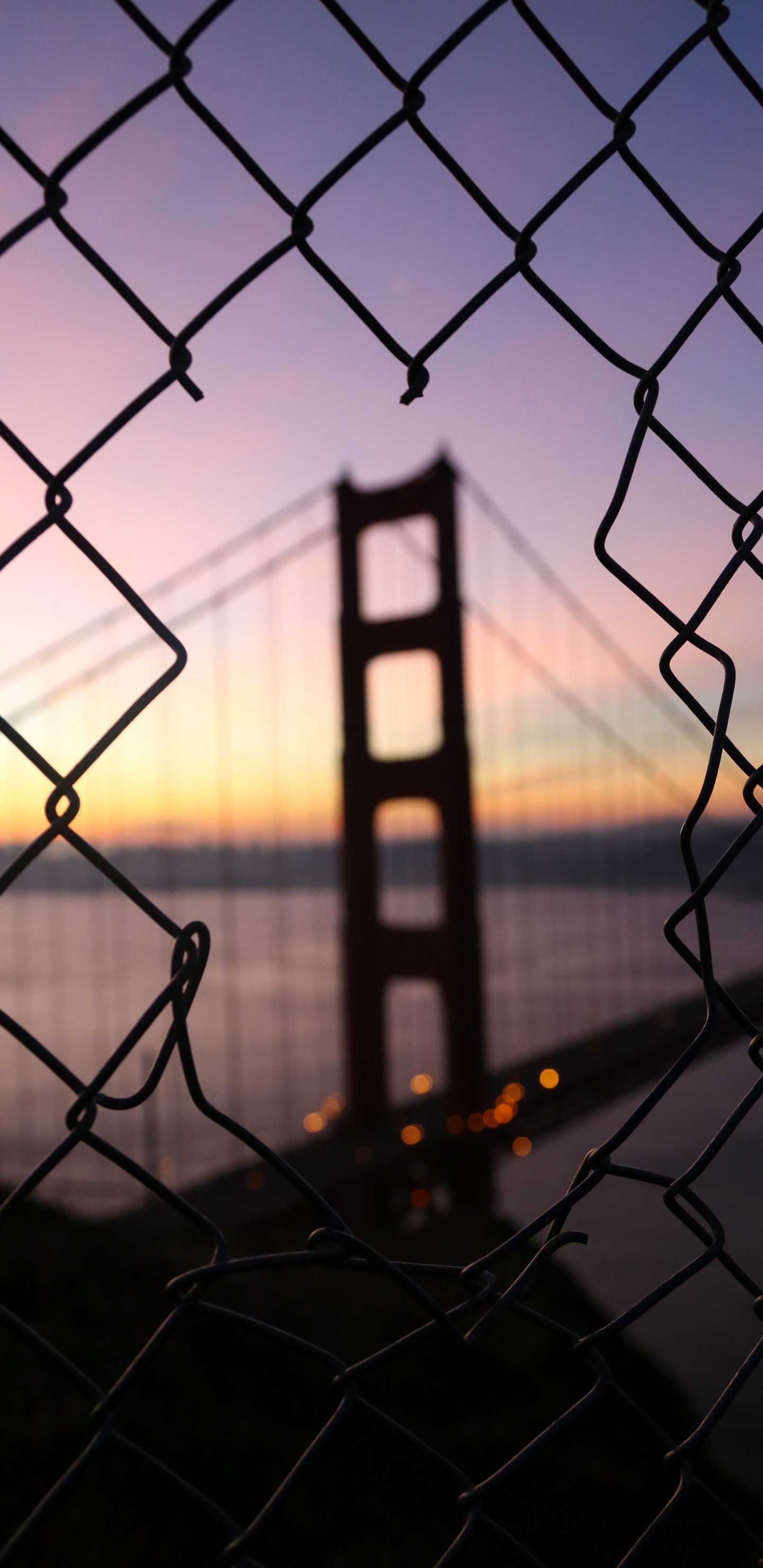 Black Metal Fence During Sunset. Wallpaper in 1440x2960 Resolution