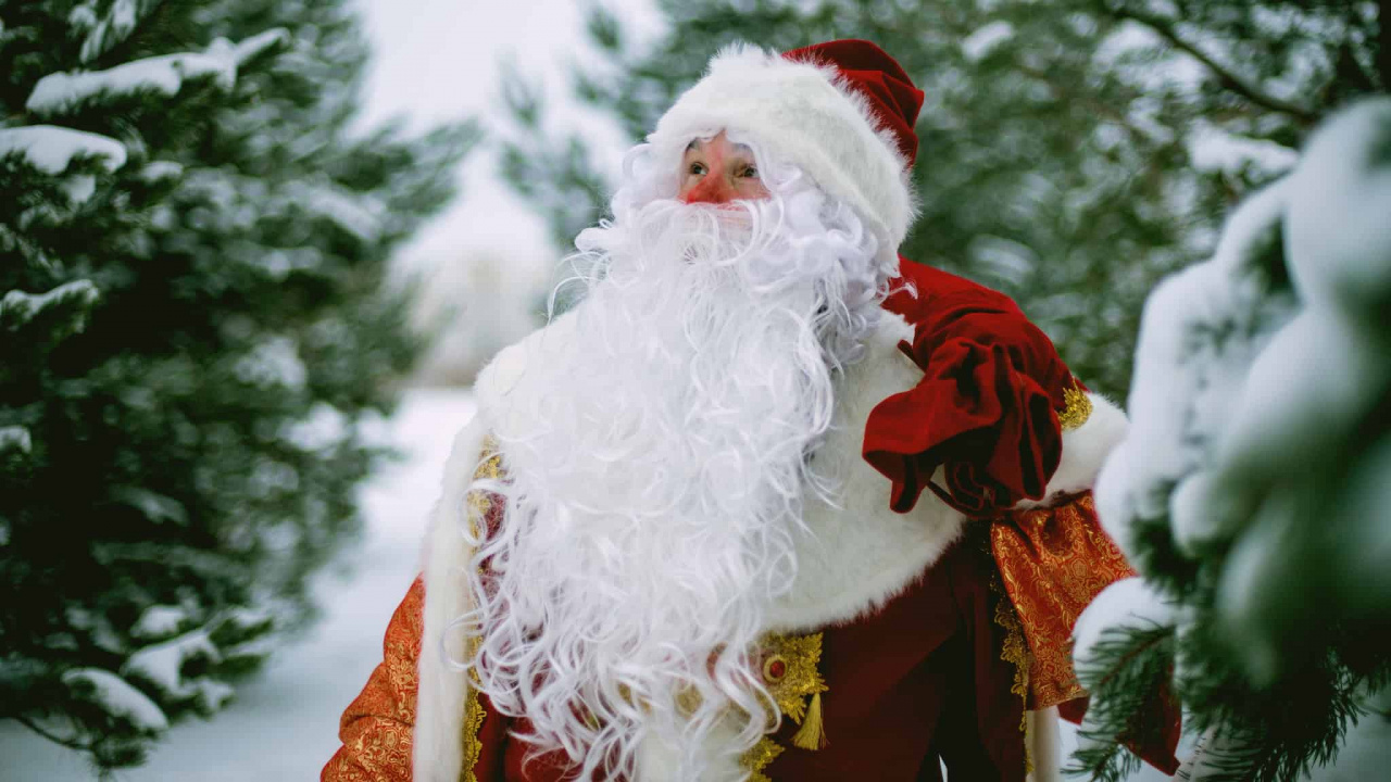 Santa Claus, Ded Moroz, Christmas Day, Snow, Winter. Wallpaper in 1280x720 Resolution