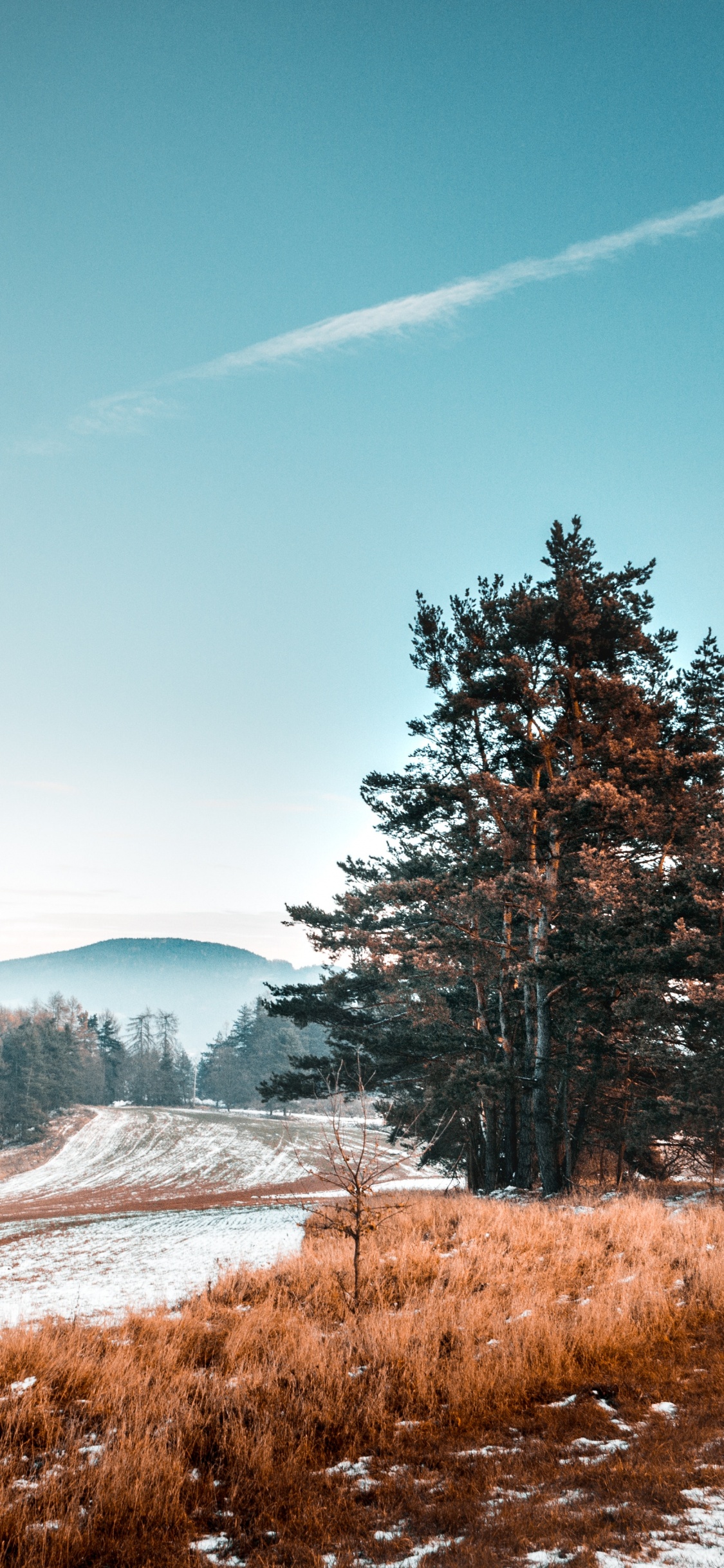 Paisaje Natural, Naturaleza, Invierno, Nieve, Carretera. Wallpaper in 1125x2436 Resolution