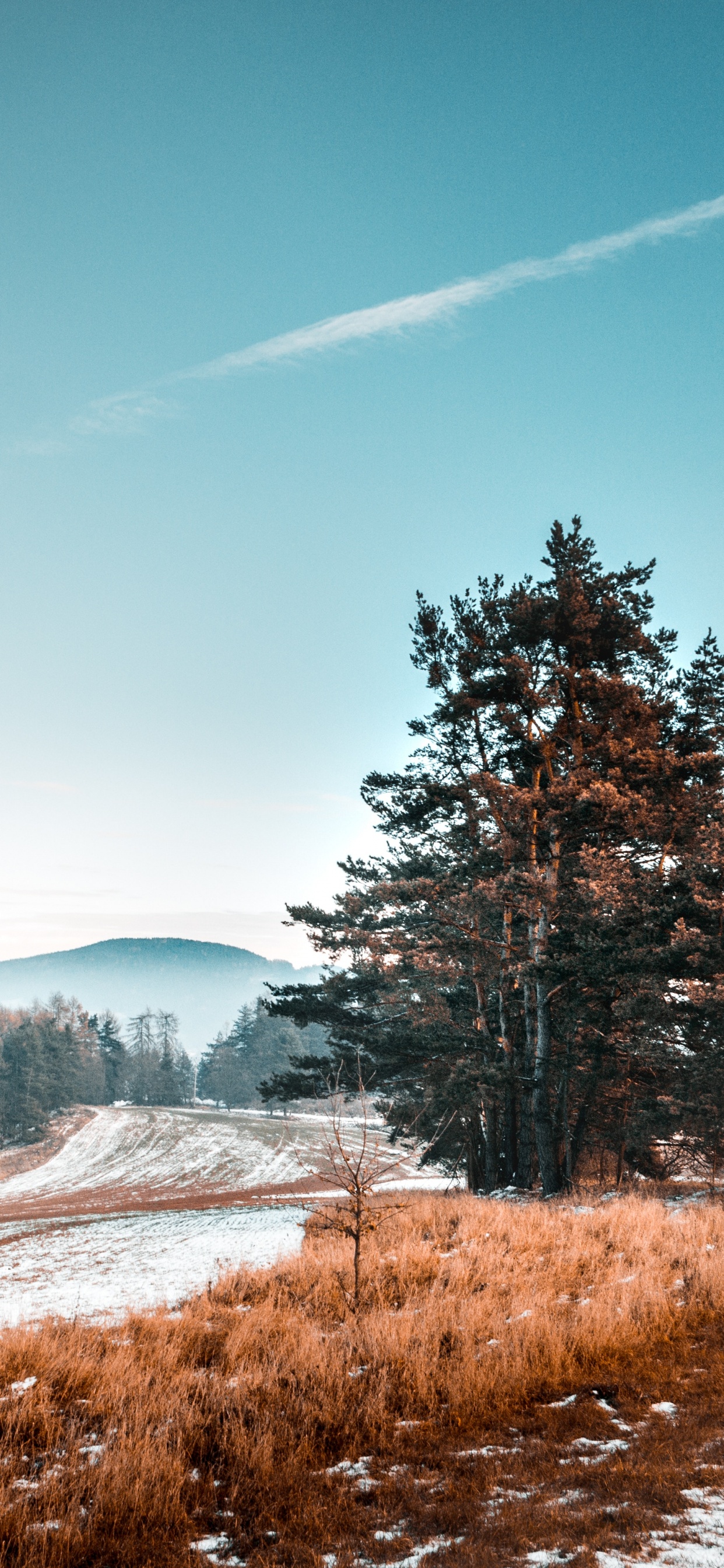 Paisaje Natural, Naturaleza, Invierno, Nieve, Carretera. Wallpaper in 1242x2688 Resolution