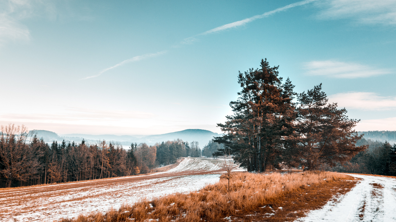 Paisaje Natural, Naturaleza, Invierno, Nieve, Carretera. Wallpaper in 1366x768 Resolution