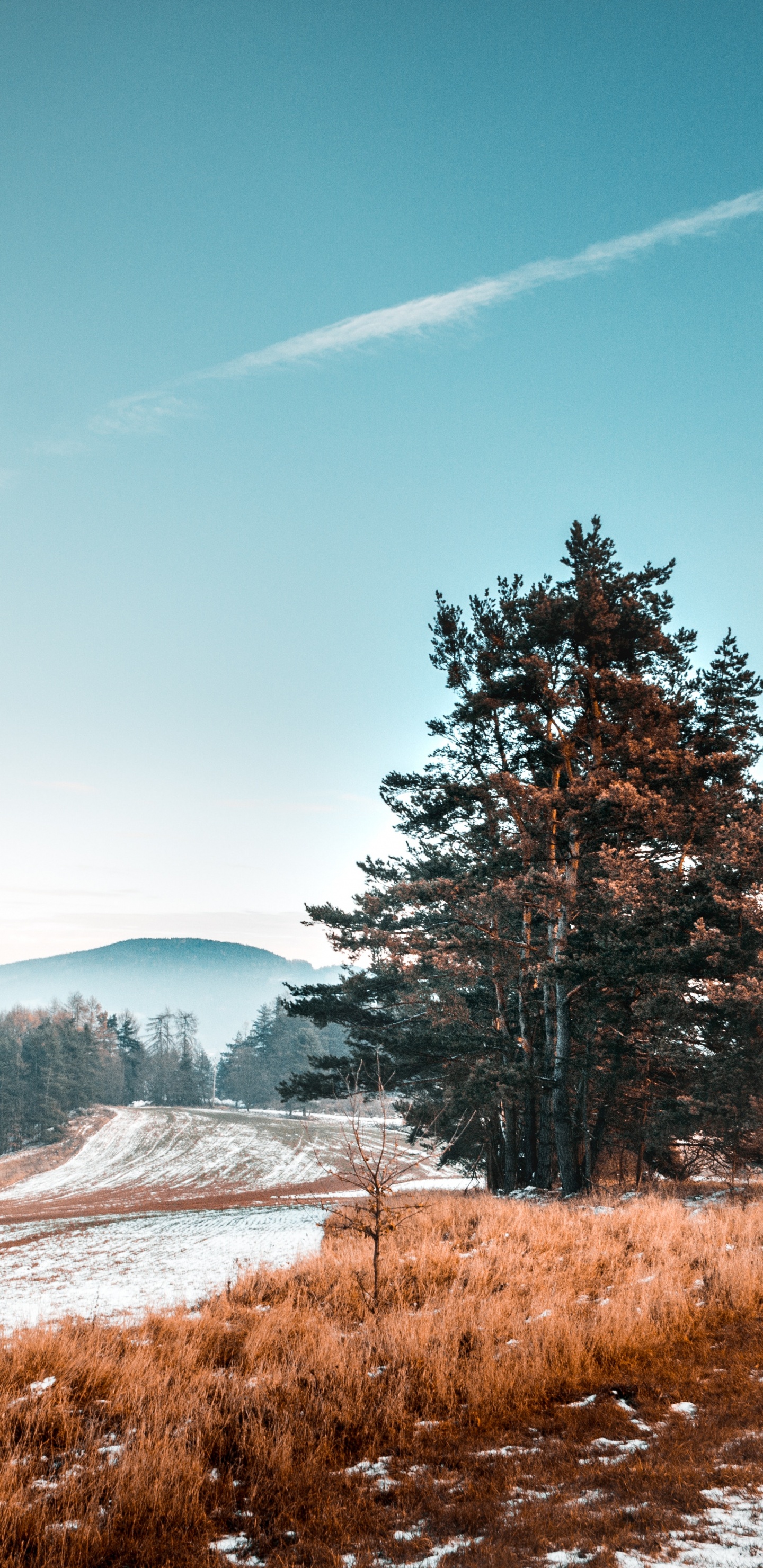 Paisaje Natural, Naturaleza, Invierno, Nieve, Carretera. Wallpaper in 1440x2960 Resolution