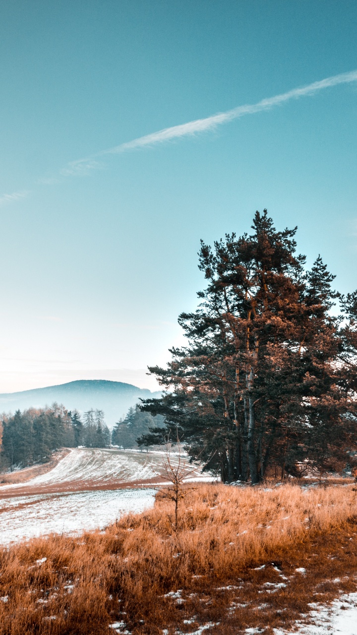 Naturlandschaft, Natur, Winter, Baum, Schnee. Wallpaper in 720x1280 Resolution