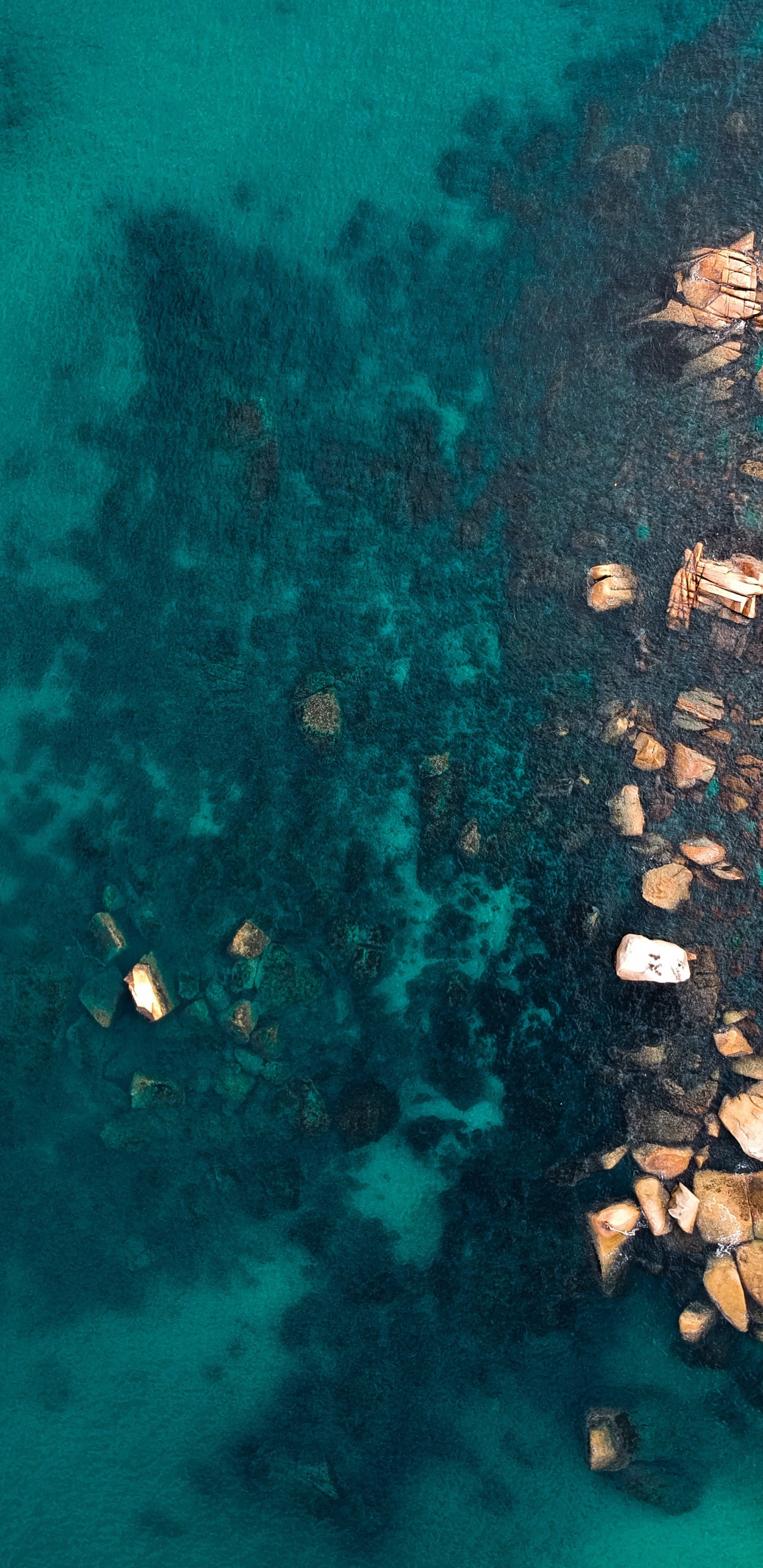 海洋, 海岸, 海洋生物学, 绿色的, 的土壤 壁纸 1440x2960 允许