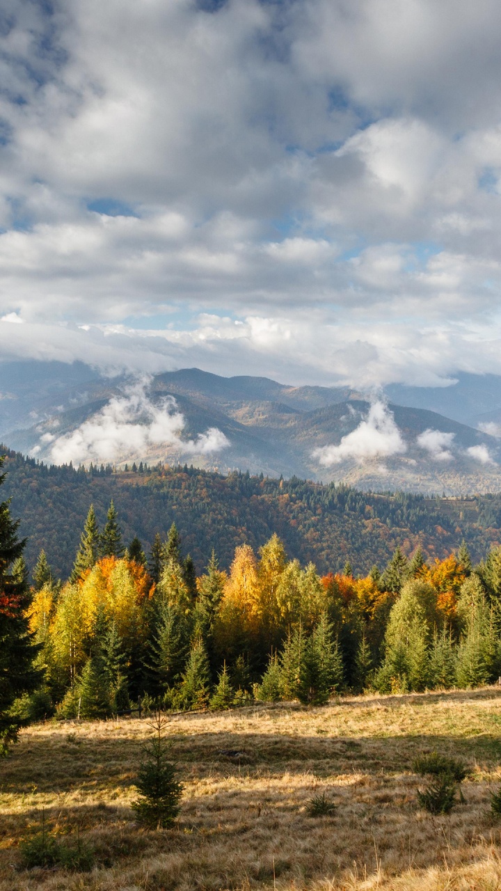 Cloud, Plant, Mountain, Ecoregion, Natural Landscape. Wallpaper in 720x1280 Resolution