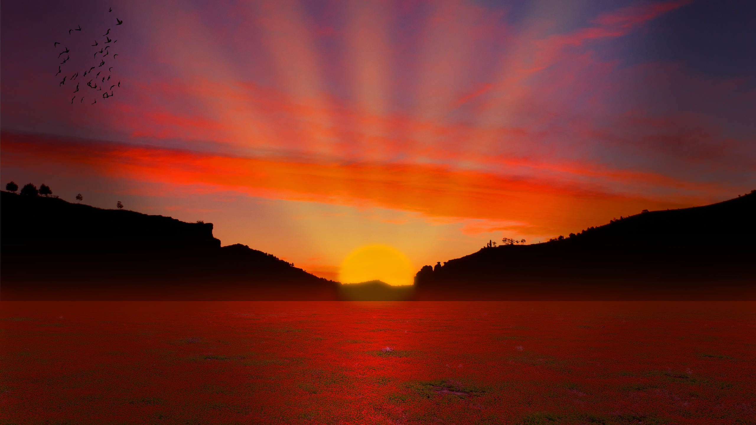 Cuerpo de Agua Durante la Puesta de Sol. Wallpaper in 2560x1440 Resolution