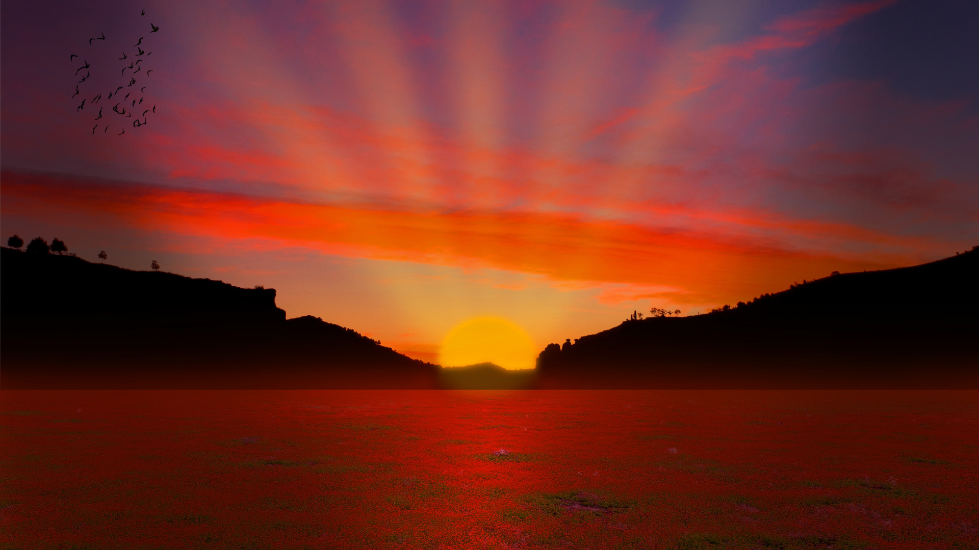 Plan D'eau au Coucher du Soleil. Wallpaper in 1920x1080 Resolution