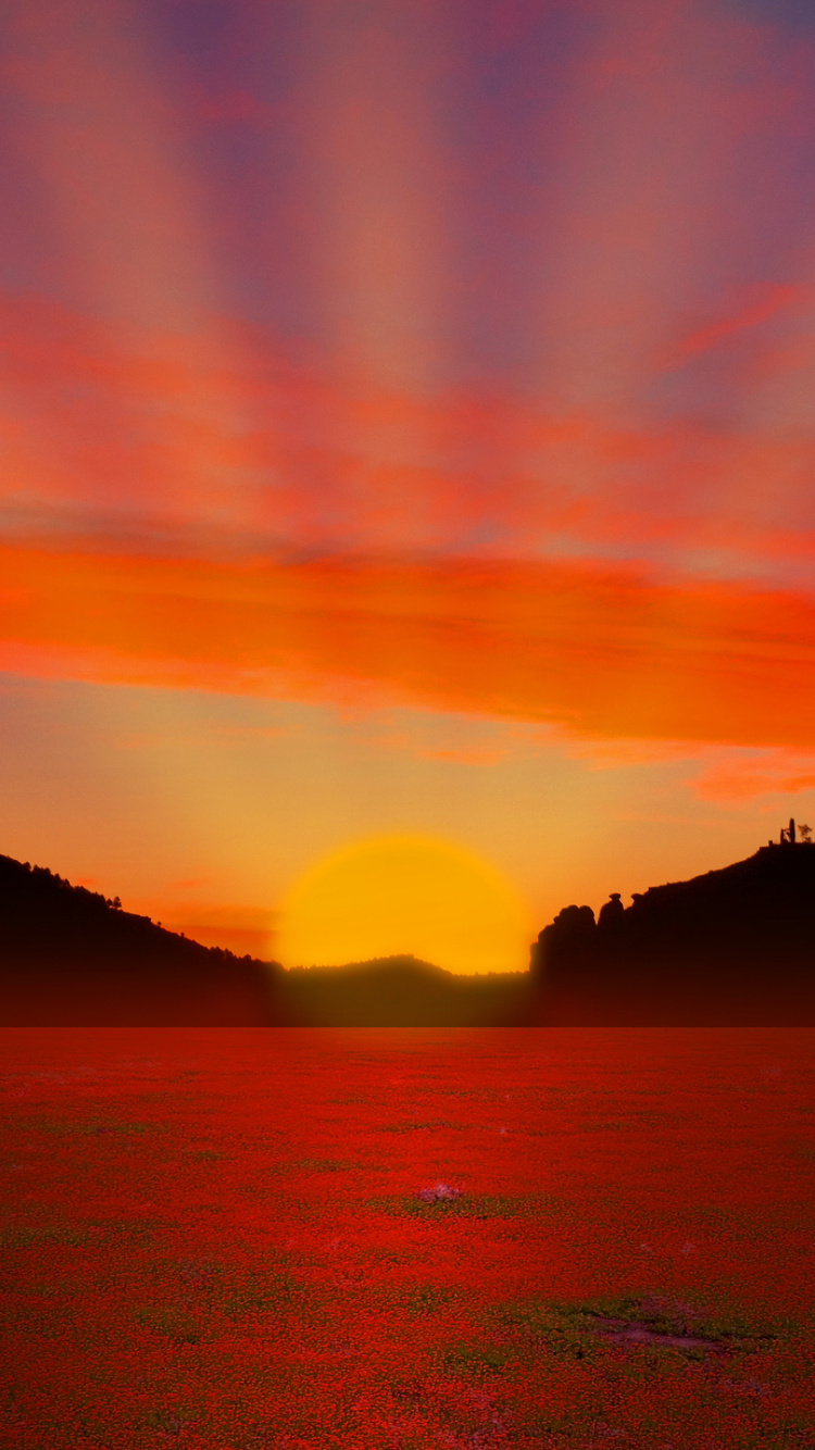 Plan D'eau au Coucher du Soleil. Wallpaper in 750x1334 Resolution