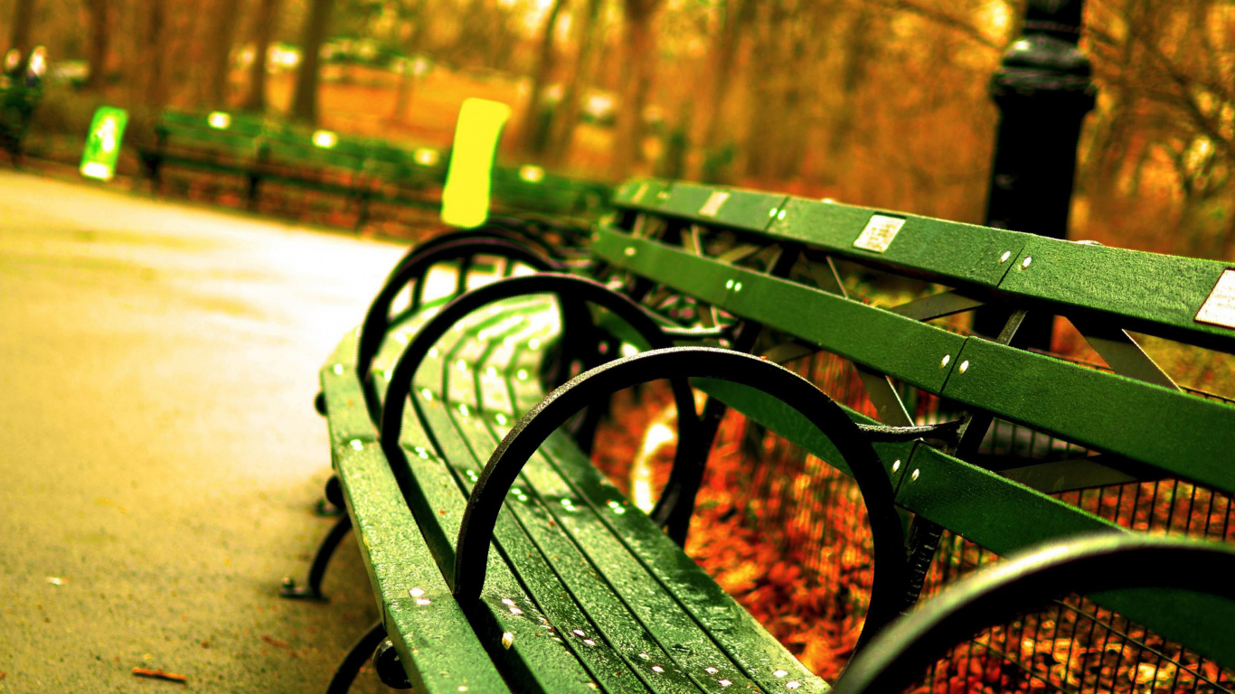 Black Metal Bench Near Brown Trees During Daytime. Wallpaper in 1366x768 Resolution