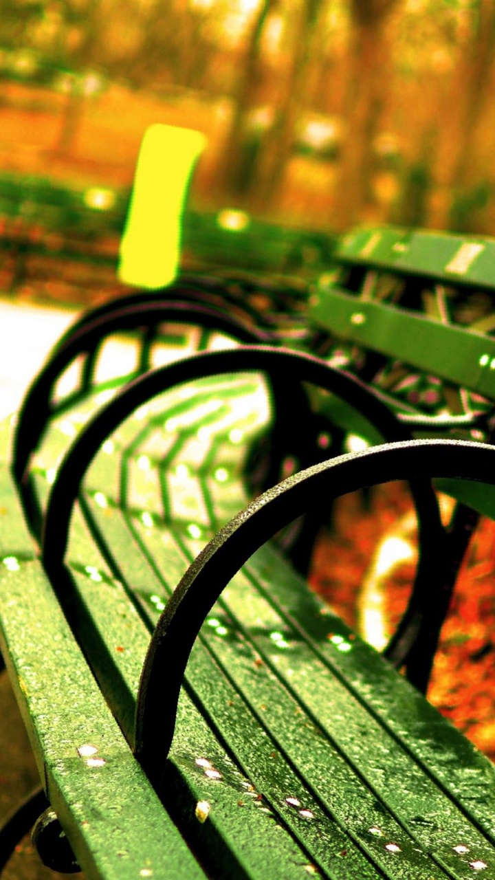 Black Metal Bench Near Brown Trees During Daytime. Wallpaper in 720x1280 Resolution