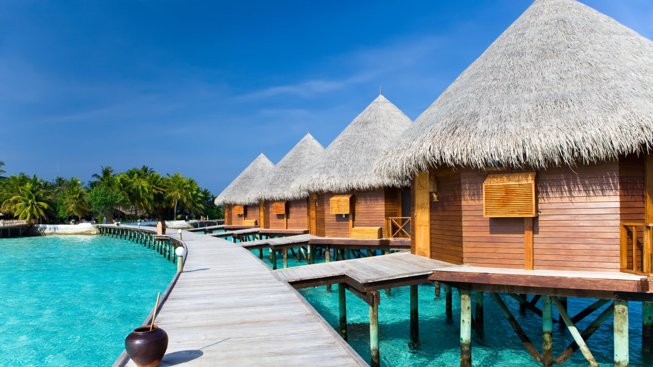 Brown Wooden House Near Swimming Pool During Daytime. Wallpaper in 1280x720 Resolution