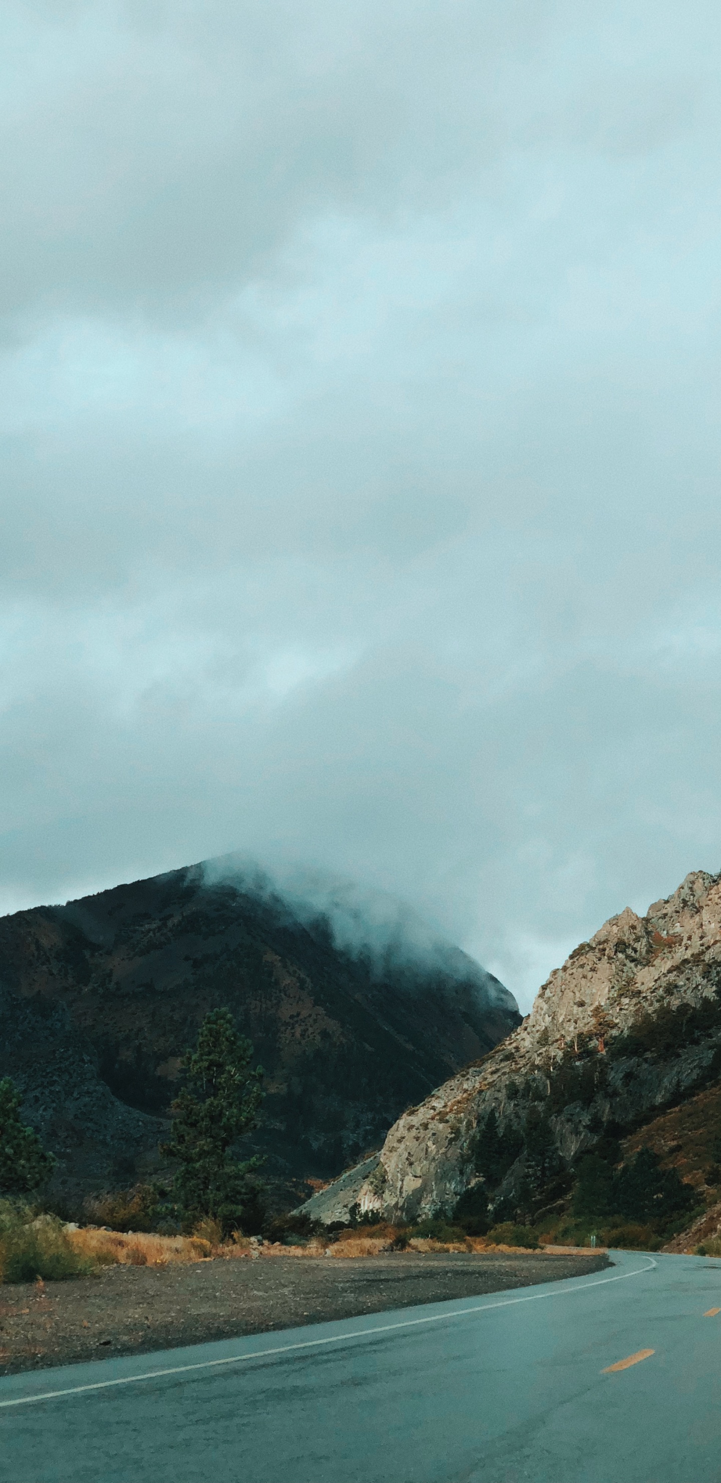 California, el Valle de Yosemite, Las Formaciones Montañosas, Highland, Valle. Wallpaper in 1440x2960 Resolution