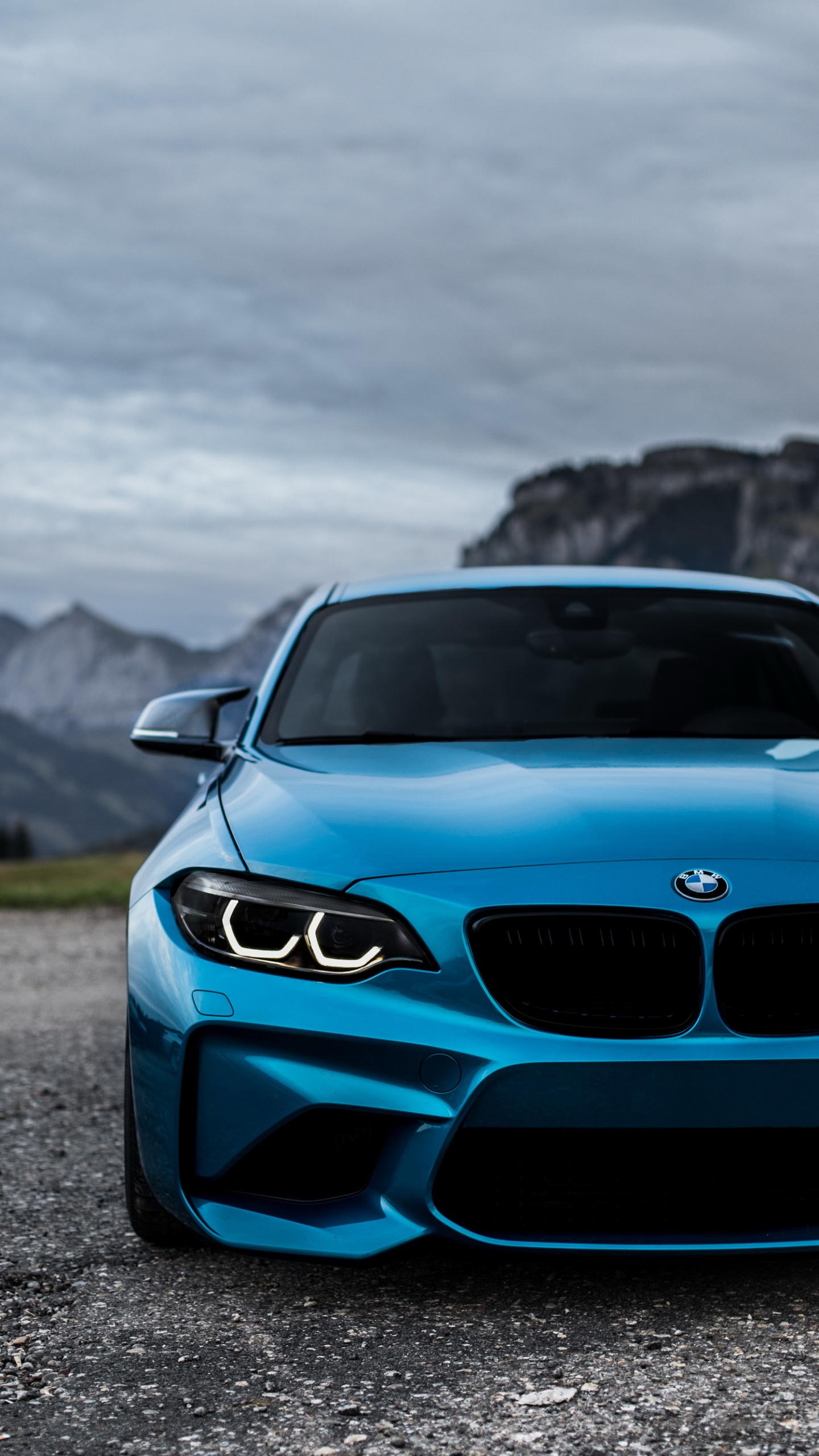 BMW, Bmw m, Bayerische Motoren Werke AG, BMW M2, Roue. Wallpaper in 1440x2560 Resolution