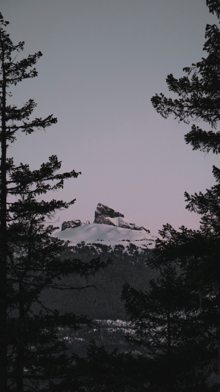 Biome, Sapin, Nature, Environnement Naturel, Plantes Ligneuses. Wallpaper in 750x1334 Resolution