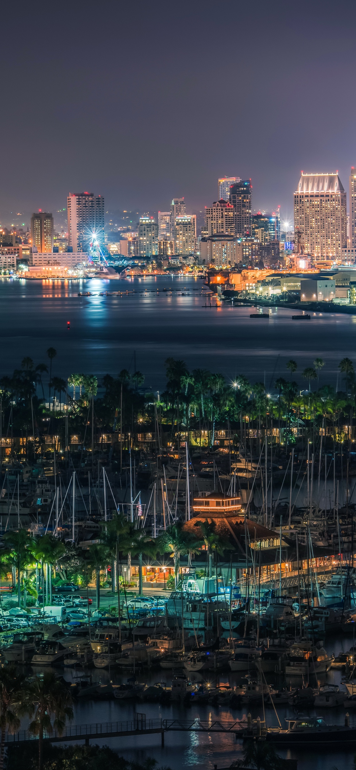 City Skyline During Night Time. Wallpaper in 1242x2688 Resolution