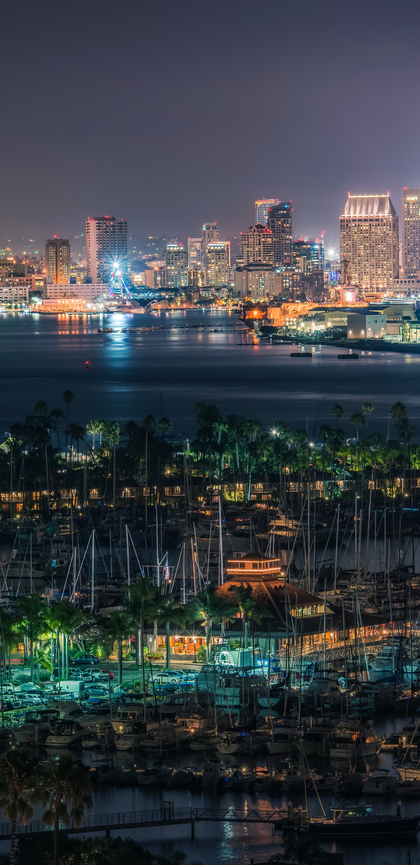 City Skyline During Night Time. Wallpaper in 1440x2960 Resolution