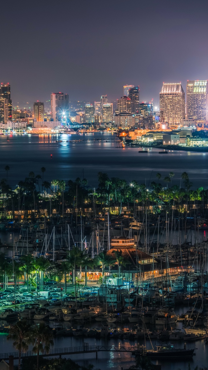 City Skyline During Night Time. Wallpaper in 720x1280 Resolution
