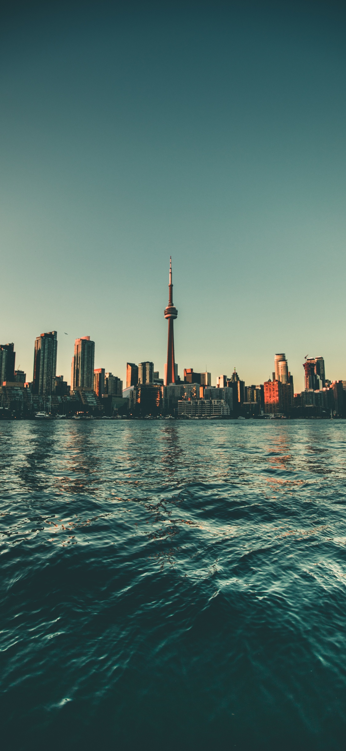 City Skyline Across Body of Water During Daytime. Wallpaper in 1125x2436 Resolution