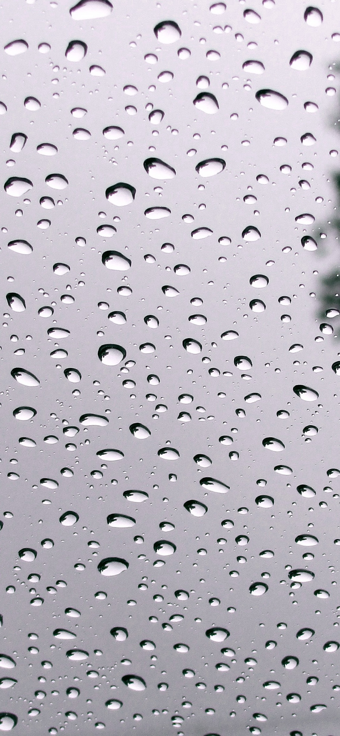 Hurra es Regnet, Wasser, Flüssigkeit, Nieselregen, Feuchtigkeit. Wallpaper in 1125x2436 Resolution