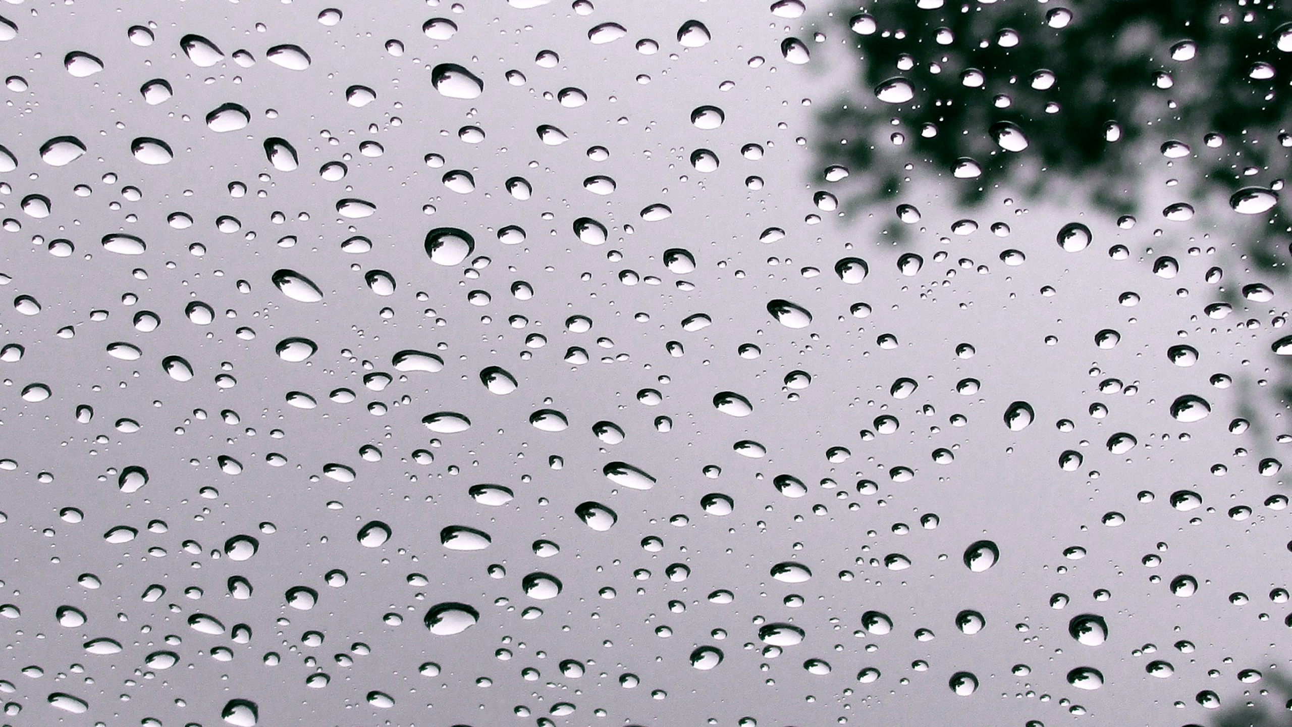 Hurra es Regnet, Water, Liquid, Fluid, Fixture. Wallpaper in 2560x1440 Resolution