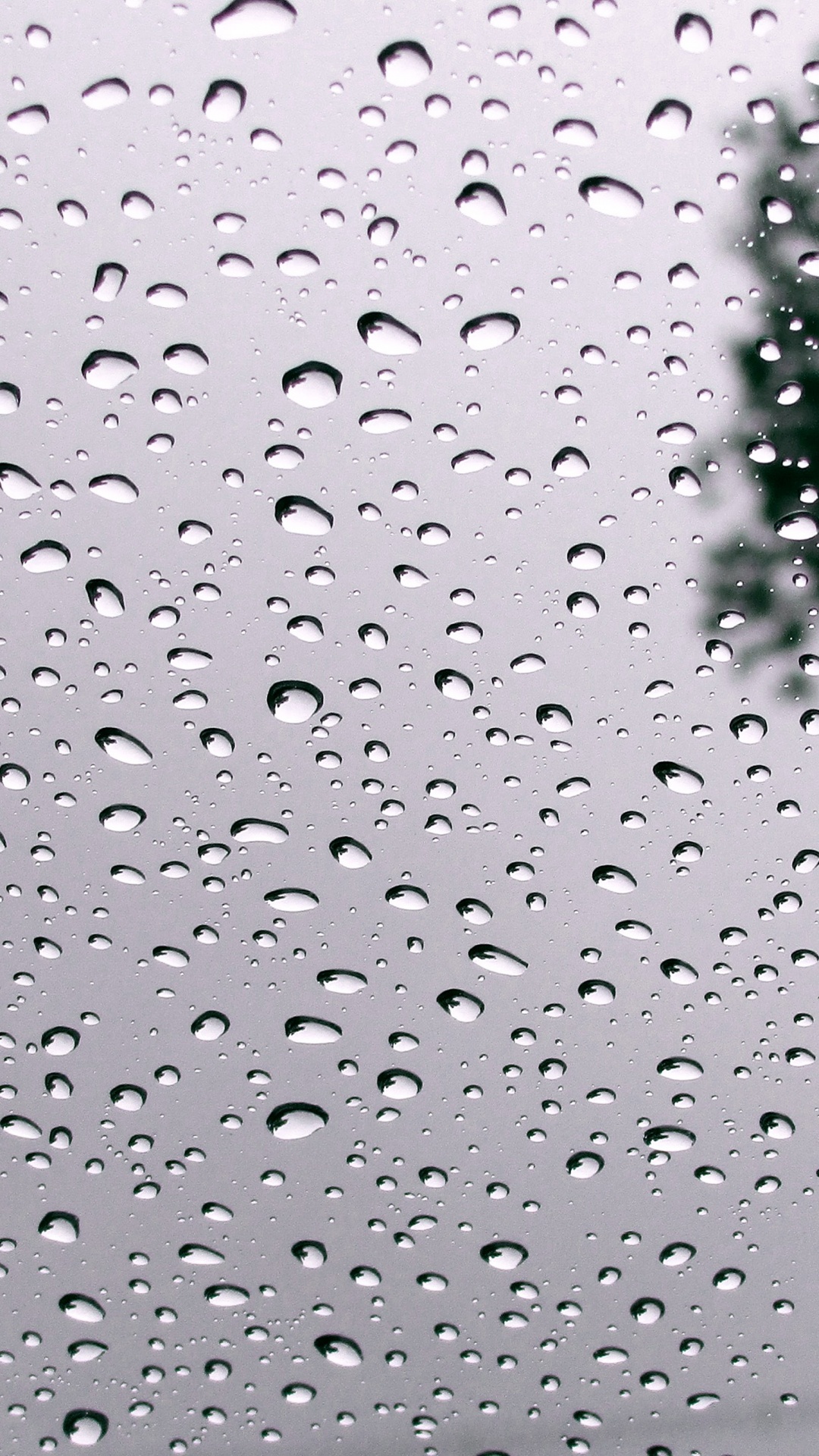 Hurra Esta Lloviendo, Agua, Líquido, Accesorio, Llovizna. Wallpaper in 1080x1920 Resolution