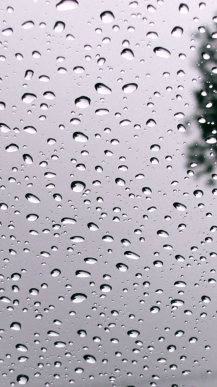 Hurra Esta Lloviendo, Agua, Líquido, Accesorio, Llovizna. Wallpaper in 720x1280 Resolution