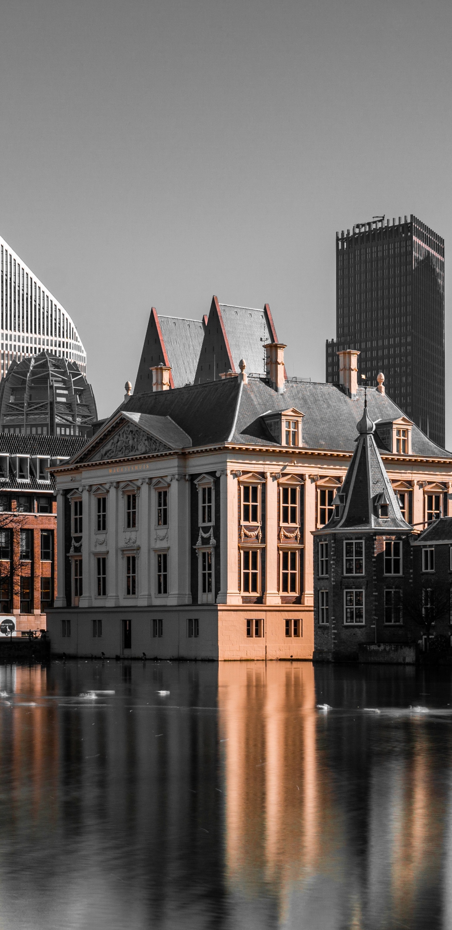 Netherlands, Mauritshuis, Museum, Art, Art Museum. Wallpaper in 1440x2960 Resolution