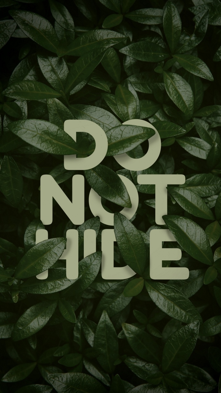 Liebe Vs. Design, Terrestrische Pflanzen, Publikation, Muster, Bodendecker. Wallpaper in 720x1280 Resolution