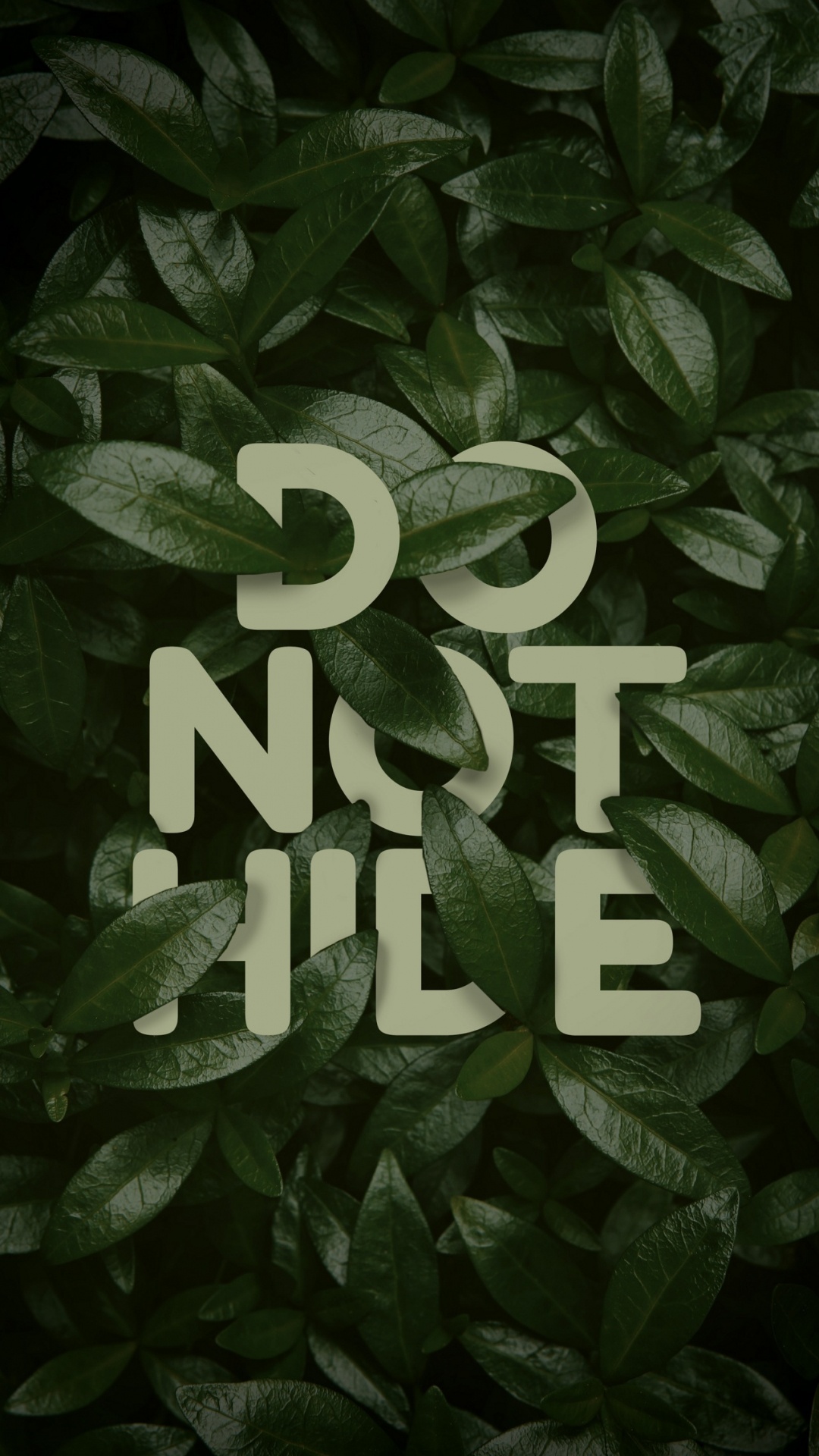 Love vs Design, Plant, Terrestrial Plant, Publication, Pattern. Wallpaper in 1080x1920 Resolution