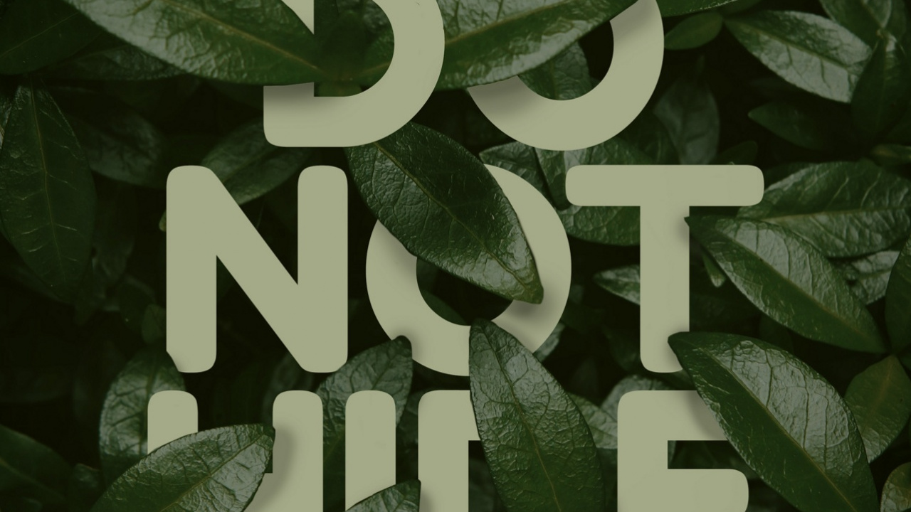 Love vs Design, Plant, Terrestrial Plant, Publication, Pattern. Wallpaper in 1280x720 Resolution