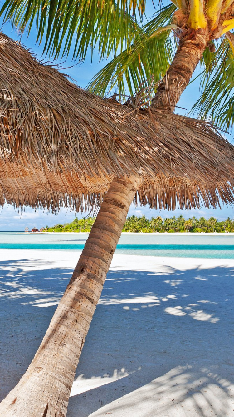 Braunes Holzboot Auf Blauem Meerwasser Tagsüber. Wallpaper in 750x1334 Resolution