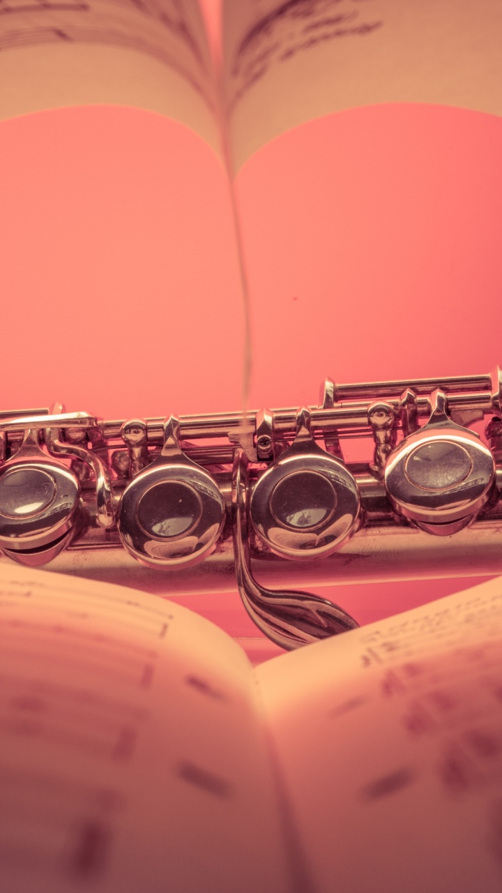 长笛, 音乐家, 歌剧, 音乐会, 木管乐器 壁纸 720x1280 允许