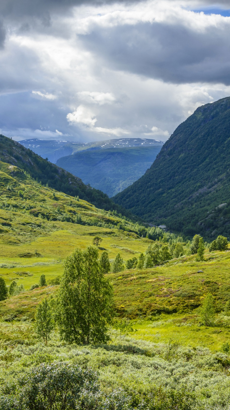 Green Grass Field and Mountains Under White Clouds and Blue Sky During Daytime. Wallpaper in 750x1334 Resolution