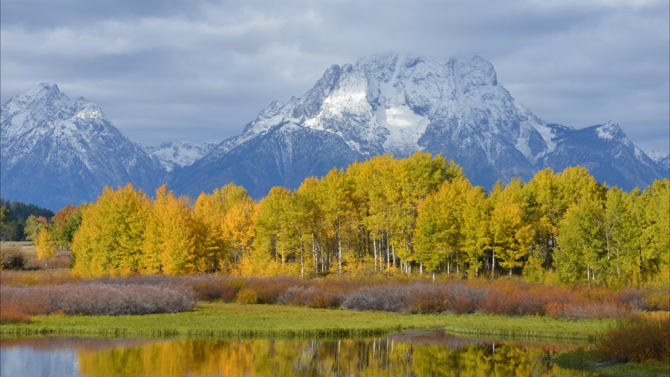 Green Trees Near Lake and Mountain During Daytime. Wallpaper in 1366x768 Resolution