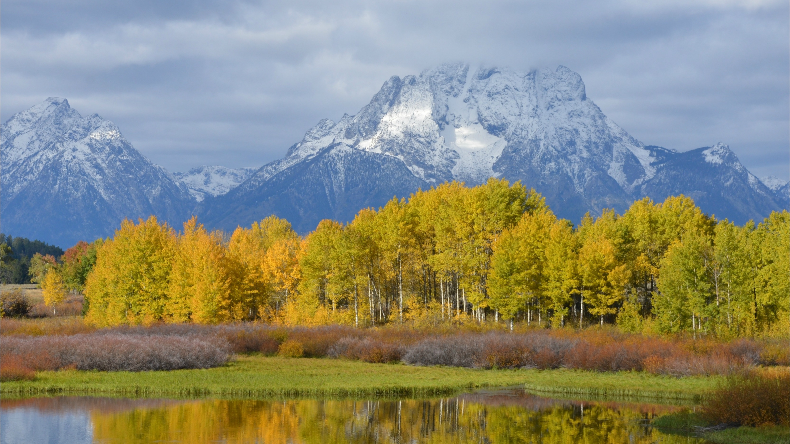 Green Trees Near Lake and Mountain During Daytime. Wallpaper in 2560x1440 Resolution