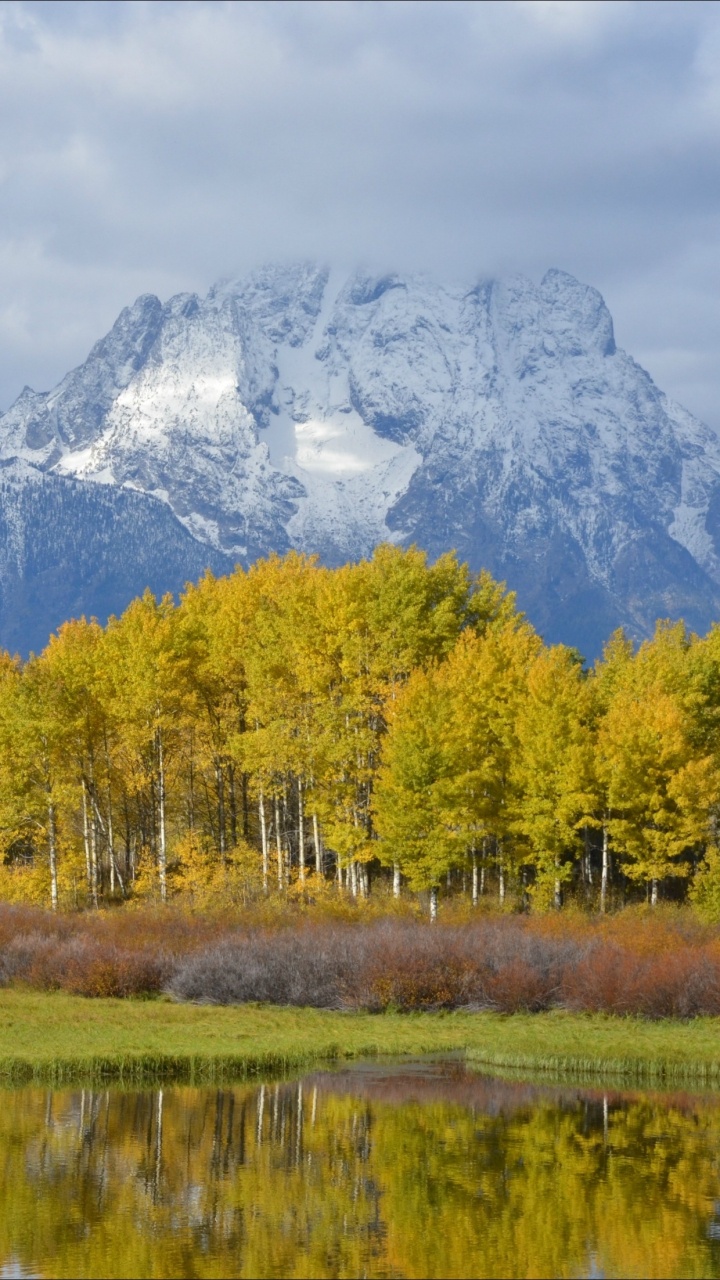 Green Trees Near Lake and Mountain During Daytime. Wallpaper in 720x1280 Resolution