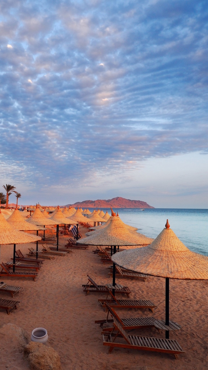 Leute am Strand Tagsüber. Wallpaper in 720x1280 Resolution