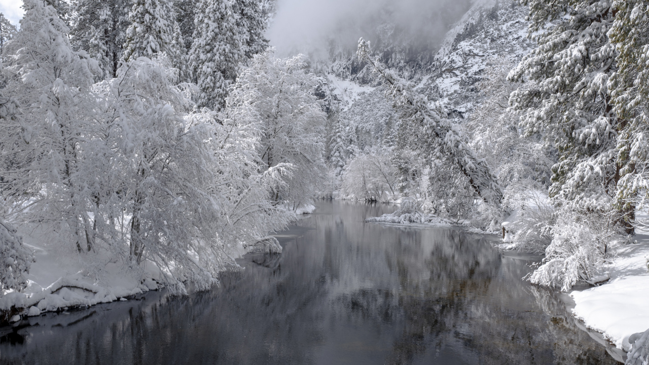 Hiver, Forêt, Neige, D'eau, Flux. Wallpaper in 1280x720 Resolution