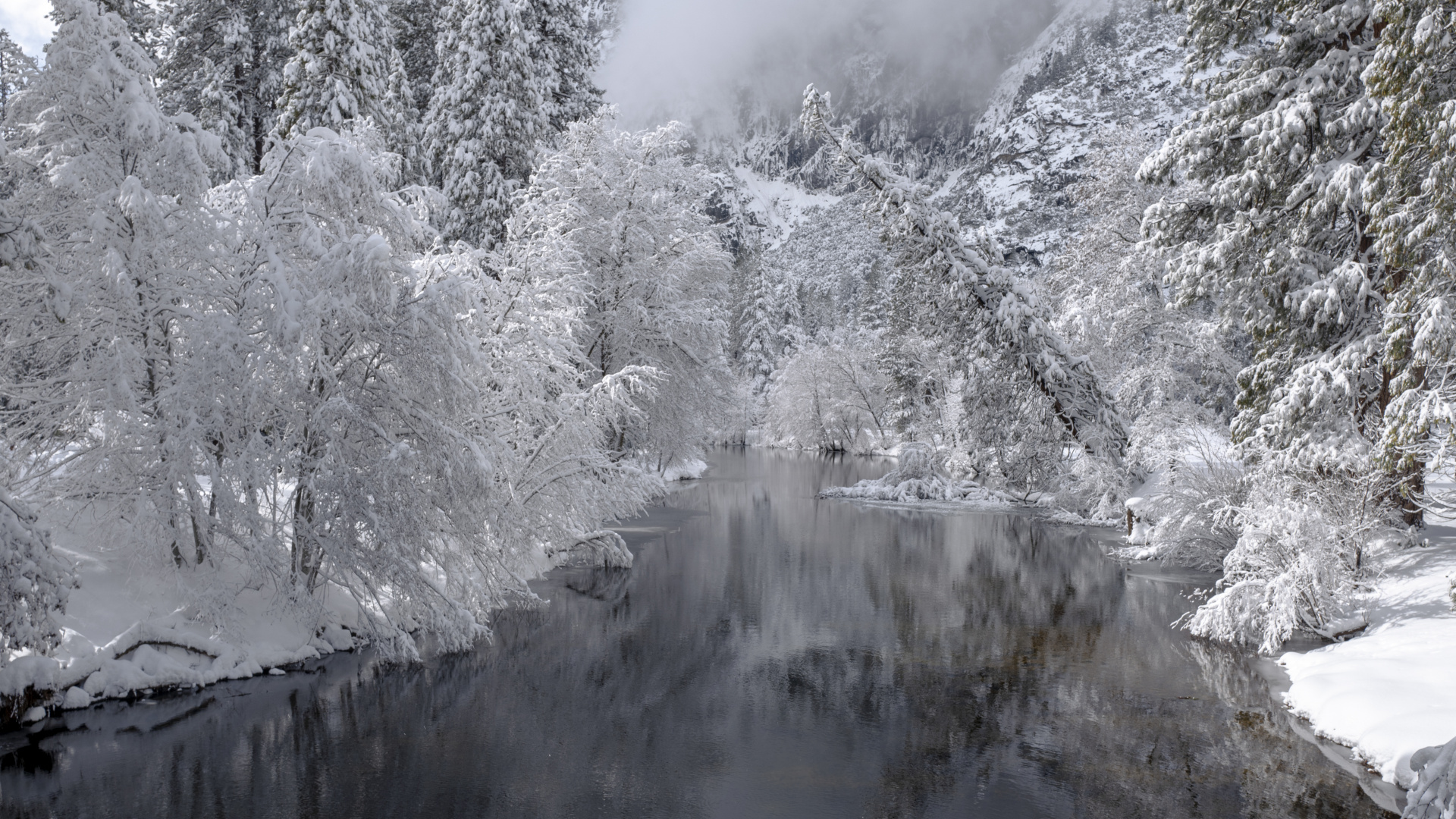 Hiver, Forêt, Neige, D'eau, Flux. Wallpaper in 1920x1080 Resolution