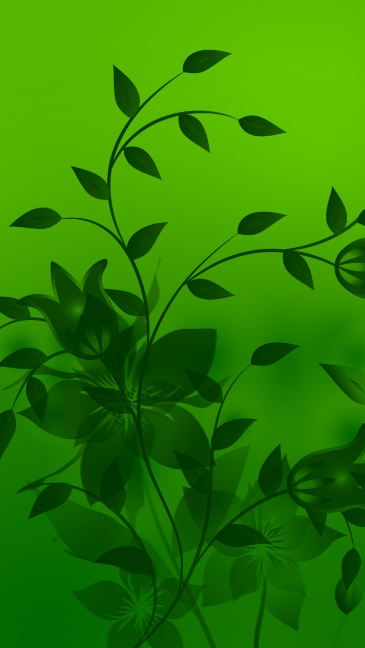 Green Leaves With Water Droplets. Wallpaper in 720x1280 Resolution