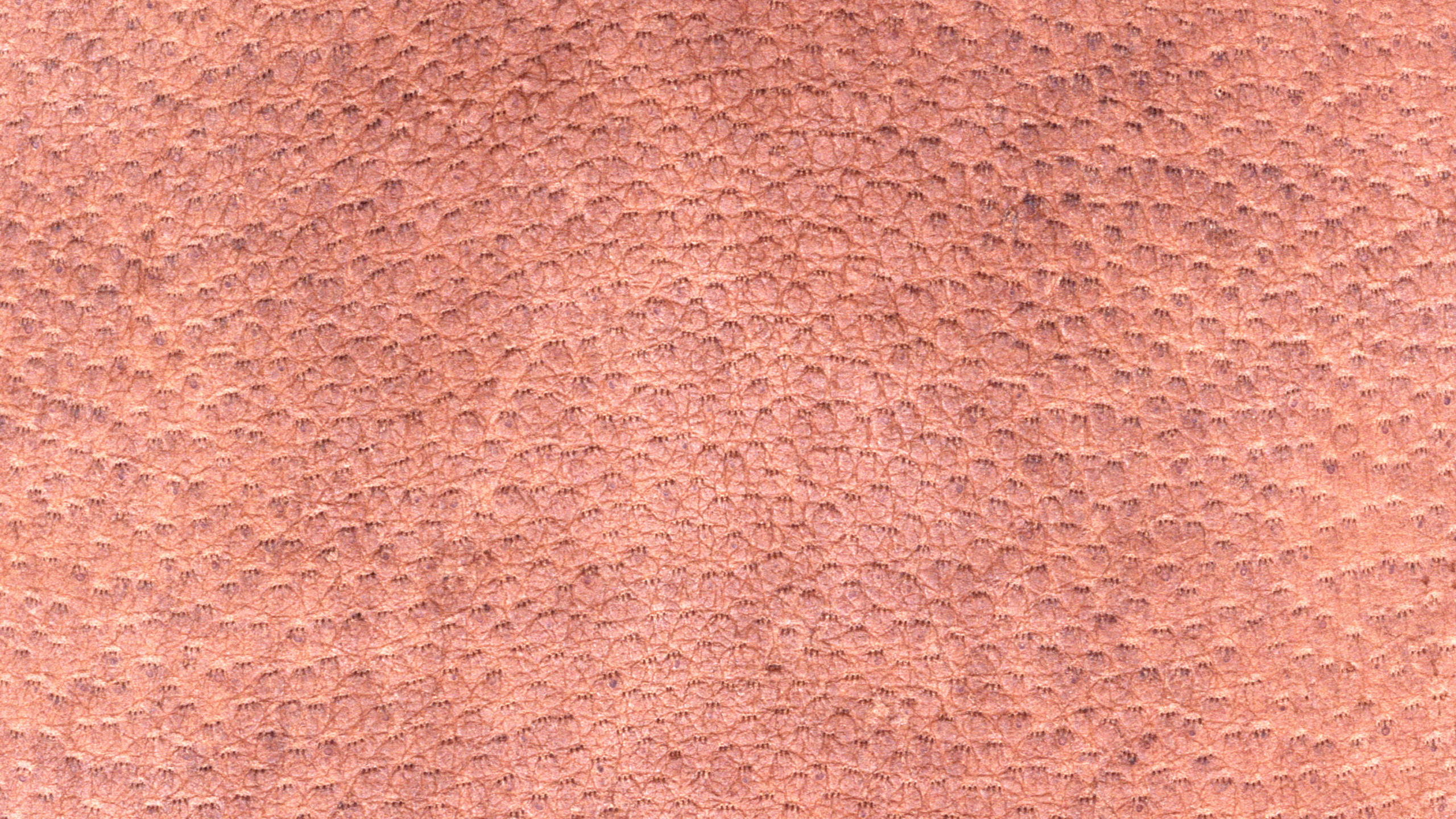 Brown Textile in Close up Image. Wallpaper in 2560x1440 Resolution