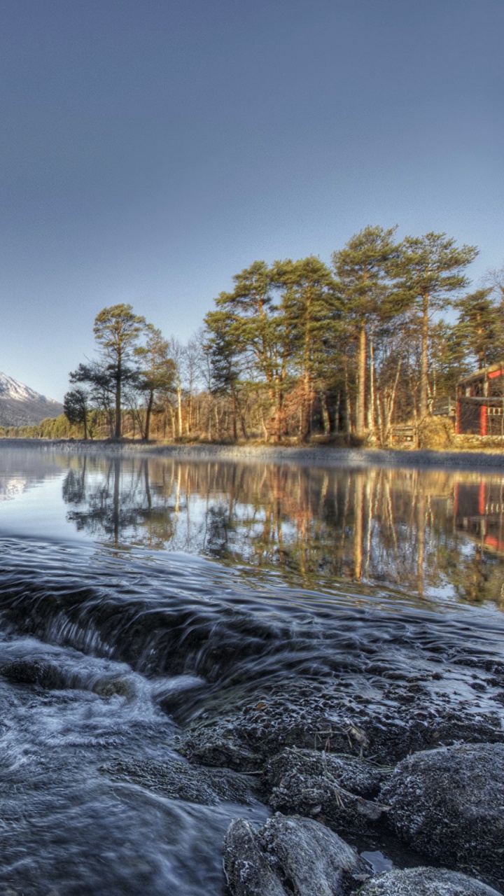 Árboles Verdes Cerca Del Cuerpo de Agua Bajo un Cielo Azul Durante el Día. Wallpaper in 720x1280 Resolution