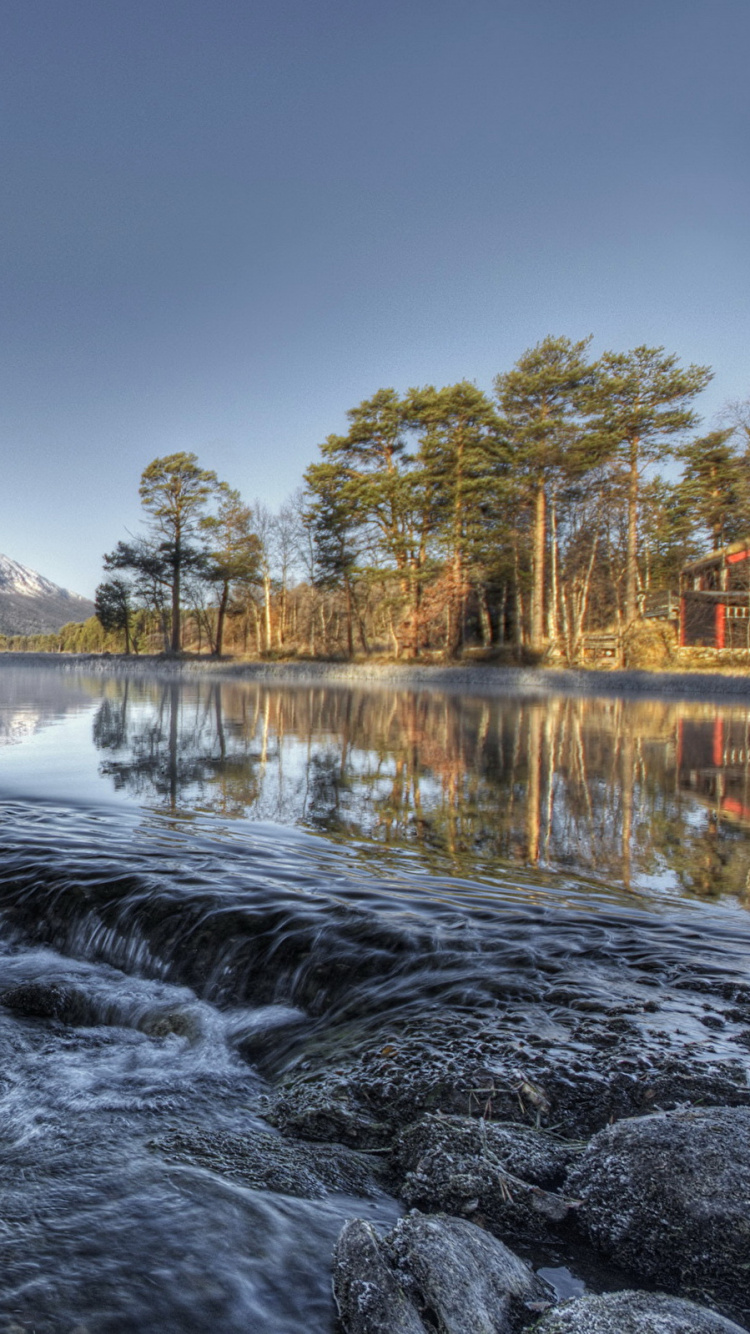 Árboles Verdes Cerca Del Cuerpo de Agua Bajo un Cielo Azul Durante el Día. Wallpaper in 750x1334 Resolution