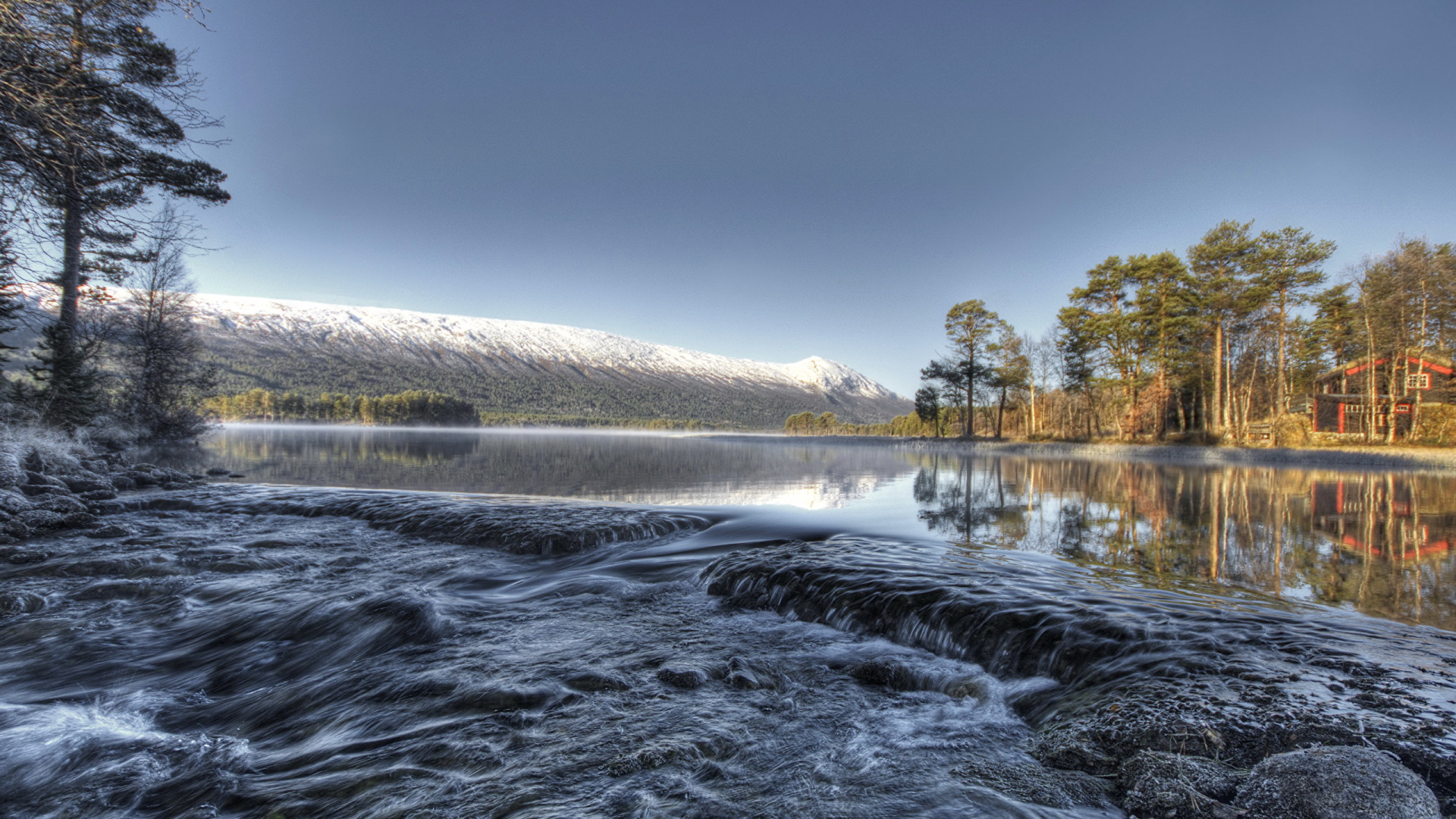 Grüne Bäume in Der Nähe Von Gewässern Unter Blauem Himmel Tagsüber. Wallpaper in 1920x1080 Resolution