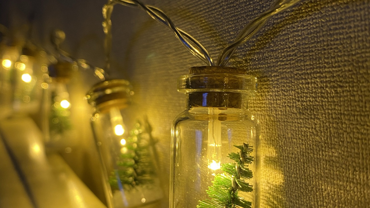 光, 物理学, 牢不可破的, 性质, 植被 壁纸 1280x720 允许