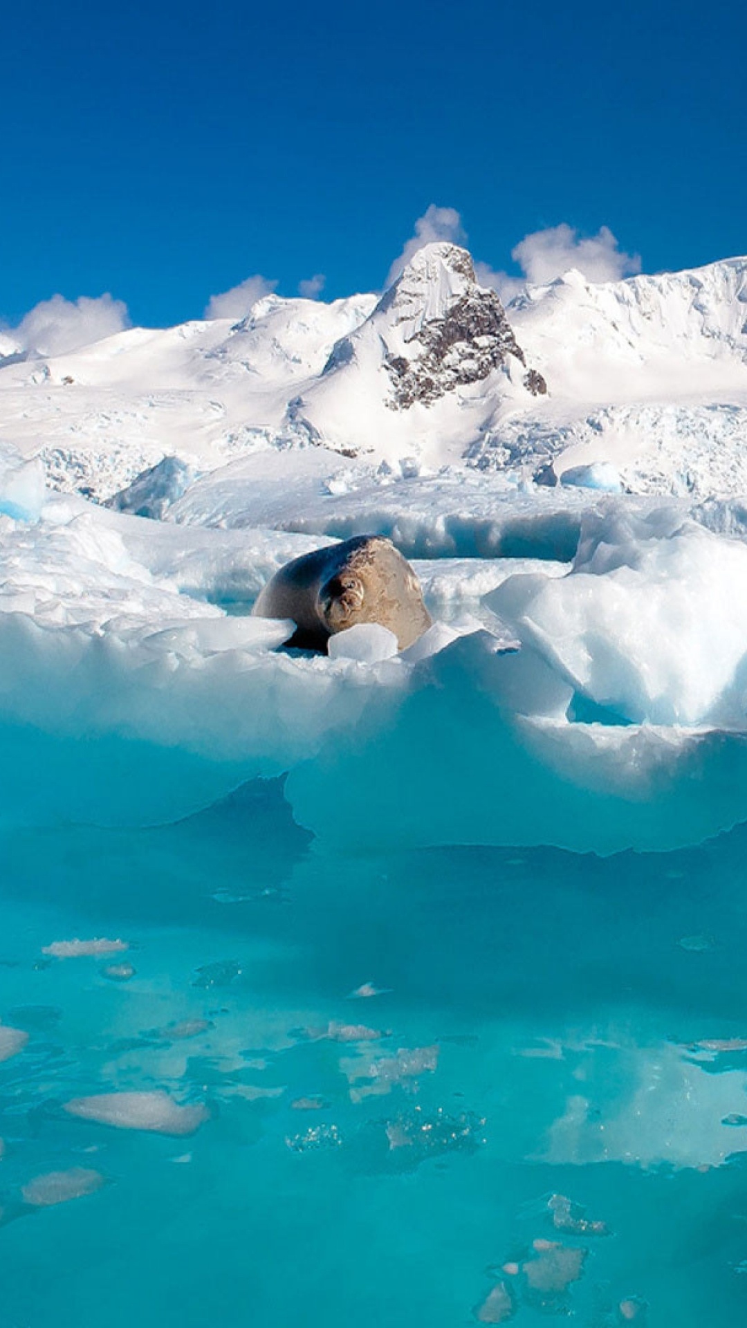 极地冰盖, 冰山, 冰川湖, 北冰洋, 冰帽 壁纸 1080x1920 允许