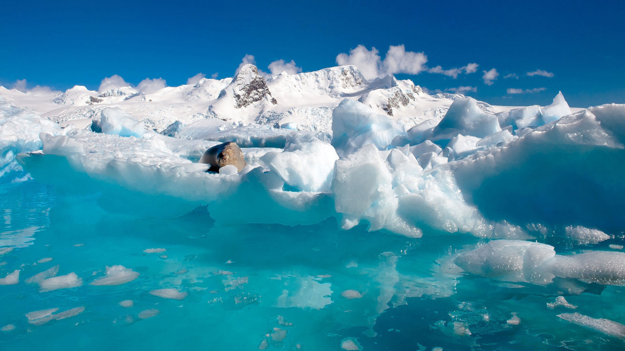 极地冰盖, 冰山, 冰川湖, 北冰洋, 冰帽 壁纸 1280x720 允许