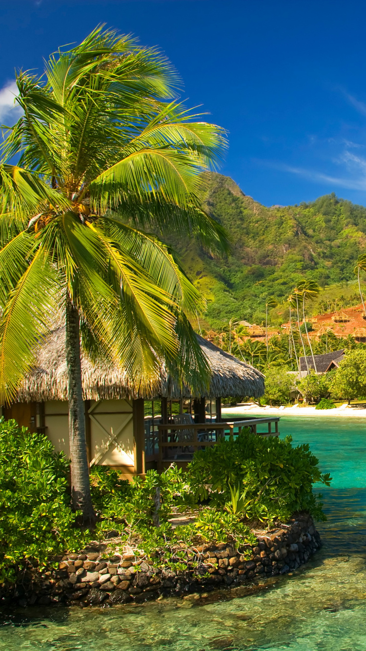 Braunes Holzhaus Auf Grüner Insel Tagsüber. Wallpaper in 750x1334 Resolution