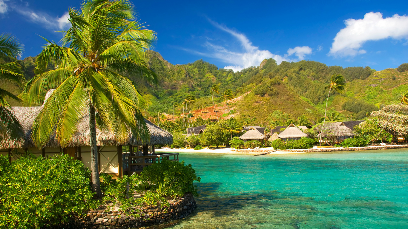 Brown Wooden House on Green Island During Daytime. Wallpaper in 1366x768 Resolution