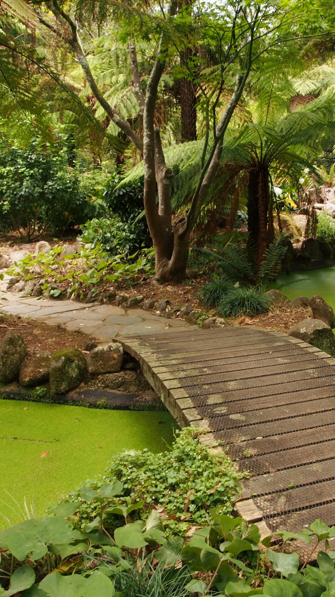 Brown Wooden Pathway in Between Green Grass and Trees. Wallpaper in 1080x1920 Resolution